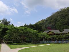 -野象谷景区