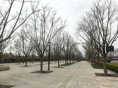 -上海龙之梦万丽酒店