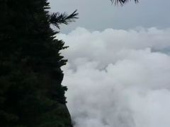 -秦岭天竺山景区