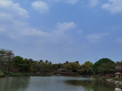 -海珠湖公园