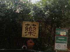 -仁爱团泊湖温泉中心