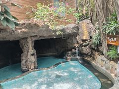 -泉眼温泉