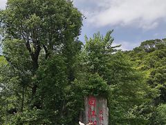 -广州白江湖森林公园