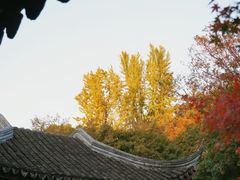 -秋霞圃