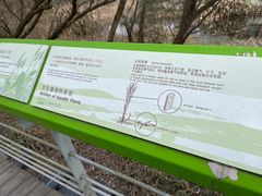 -西湖风景区-江洋畈生态公园