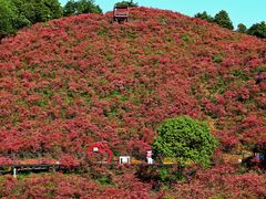 -瑞安圣井山景区