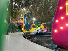 -长白岛森林公园