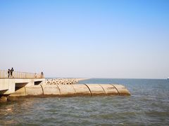 -东疆建设开发纪念公园