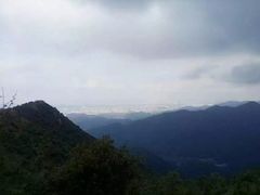 -北仑森林植物园