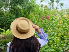 -兴隆槟榔园休闲农庄