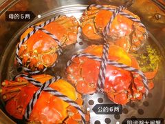 -阳澄湖半岛旅游度假区