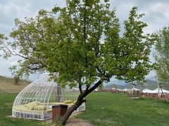 -潭柘厚院&山顶烤肉(潭柘寺店)