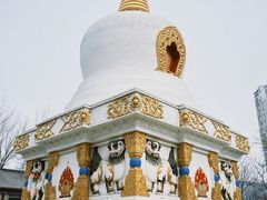 -护国法轮寺