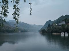 -后柳水乡