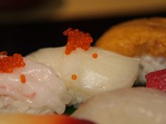 -鲤·鮨KOISUSHI