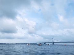 -大连圣亚海洋世界