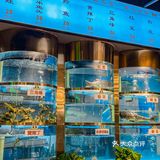 今天就分享一家我从成市区追到都江堰的美蛙鱼头