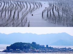 -北岐滩涂