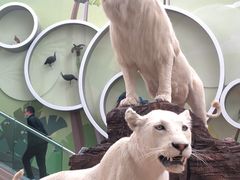 -陕西自然博物馆