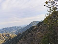 -大岭沟猕猴桃谷风景区