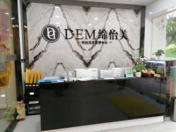-DEM缔怡美科技美容