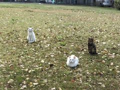 -中国科学院上海有机化学研究所客座人员公寓