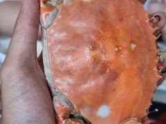 -王潮活海鲜自助·蒸汽海鲜