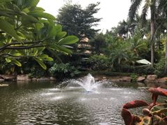 -厦门日月谷温泉渡假村