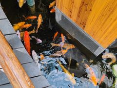 -上海大自然野生昆虫馆(东方明珠·爬宠昆虫探索中心)