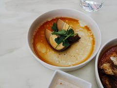 -MR鹅外