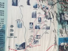 -王顺山国家森林公园