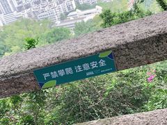 -板樟山森林公园