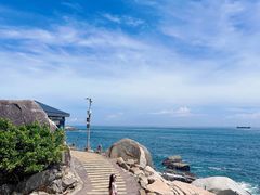 -广东惠东海龟国家级自然保护区