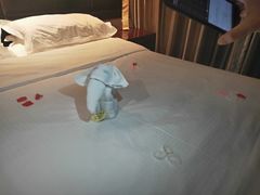 -大同王府至尊酒店