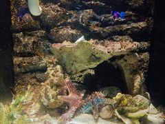 -洛阳龙门海洋馆