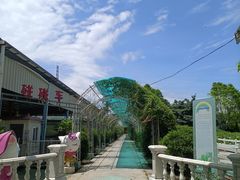 -百万葵园