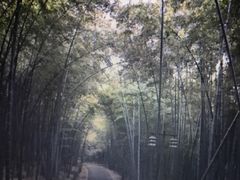 -苏州环秀晓筑养生度假村
