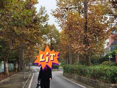 -白鹭湾湿地公园