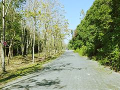 -上海海湾国家森林公园