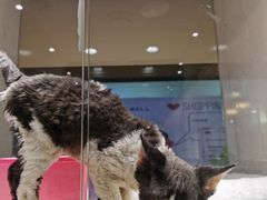 -乐宠宠物店(世纪金源店)