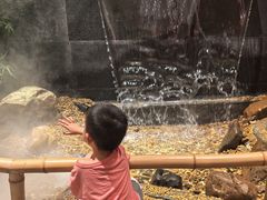 -皇厨荣升名厨家宴.赣州客家菜