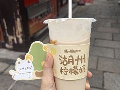 -猫的魔法密林(衣裳街店)