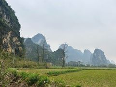 -明仕田园