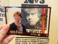 -奥斯卡升龙国际影城(RealD Cinema)