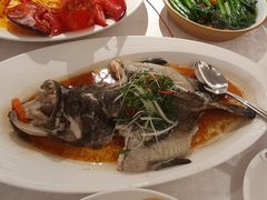 -南海渔村(珠江新城店)