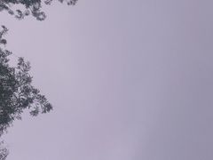 -贤花饭店(凯德店)