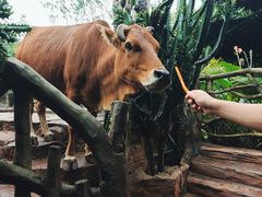 -长鹿旅游休博园