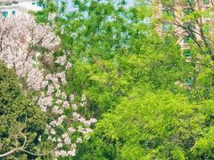 -大钟寺古钟博物馆