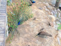 -北京麋鹿生态实验中心