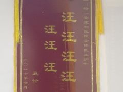 -特一安24小时宠物医院·骨科·中兽医